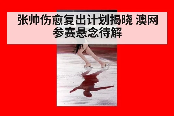 张帅伤愈复出计划揭晓 澳网参赛悬念待解